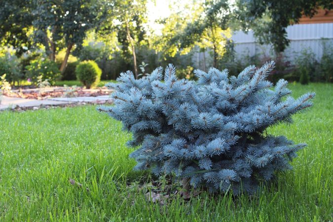 Landscape design, improvement, landscaping — Steer Your Organization to Success: ISO Standards Explained
